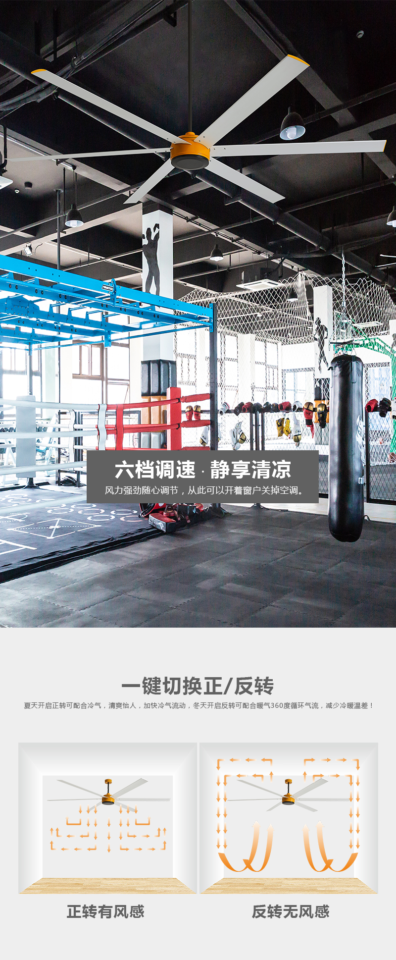 A57-6叶-详情页_04.jpg