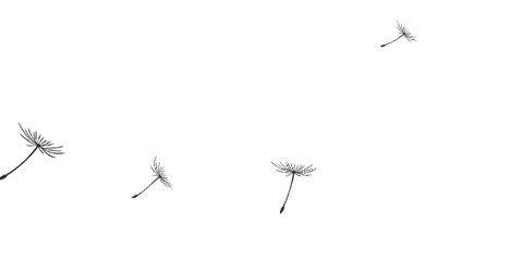 官网-广东顺德区量磁电气有限公司